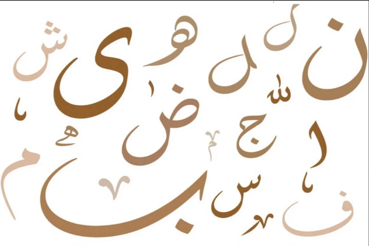 كورس قواعد اللغة العربية - الصف التاسع (المنهاج السوري)